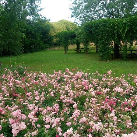 Agriturismo Il Magicorto Cassola Luaran gambar
