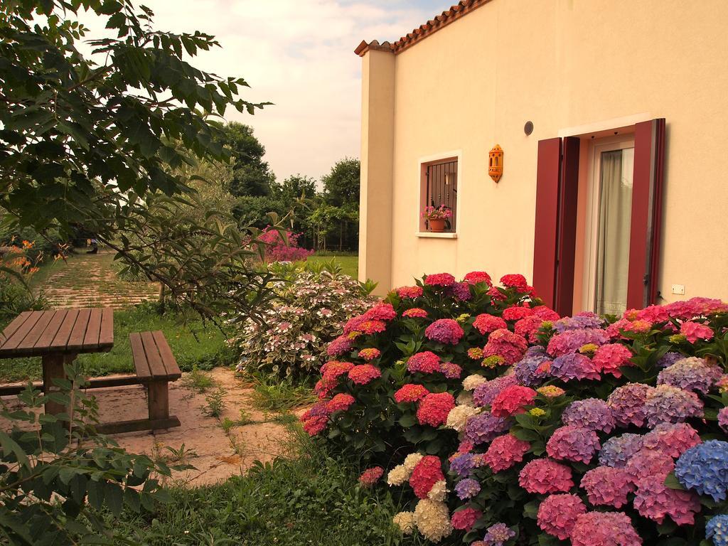 Agriturismo Il Magicorto Cassola Bilik gambar
