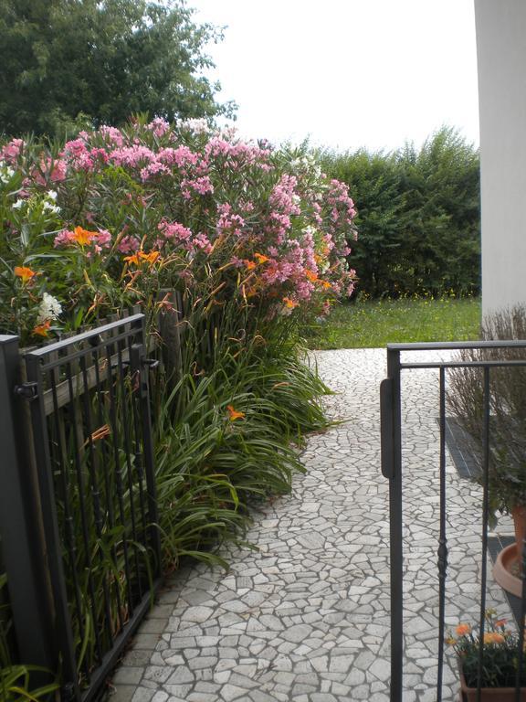 Agriturismo Il Magicorto Cassola Bilik gambar