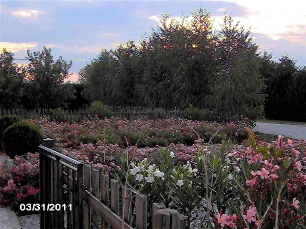 Agriturismo Il Magicorto Cassola Luaran gambar