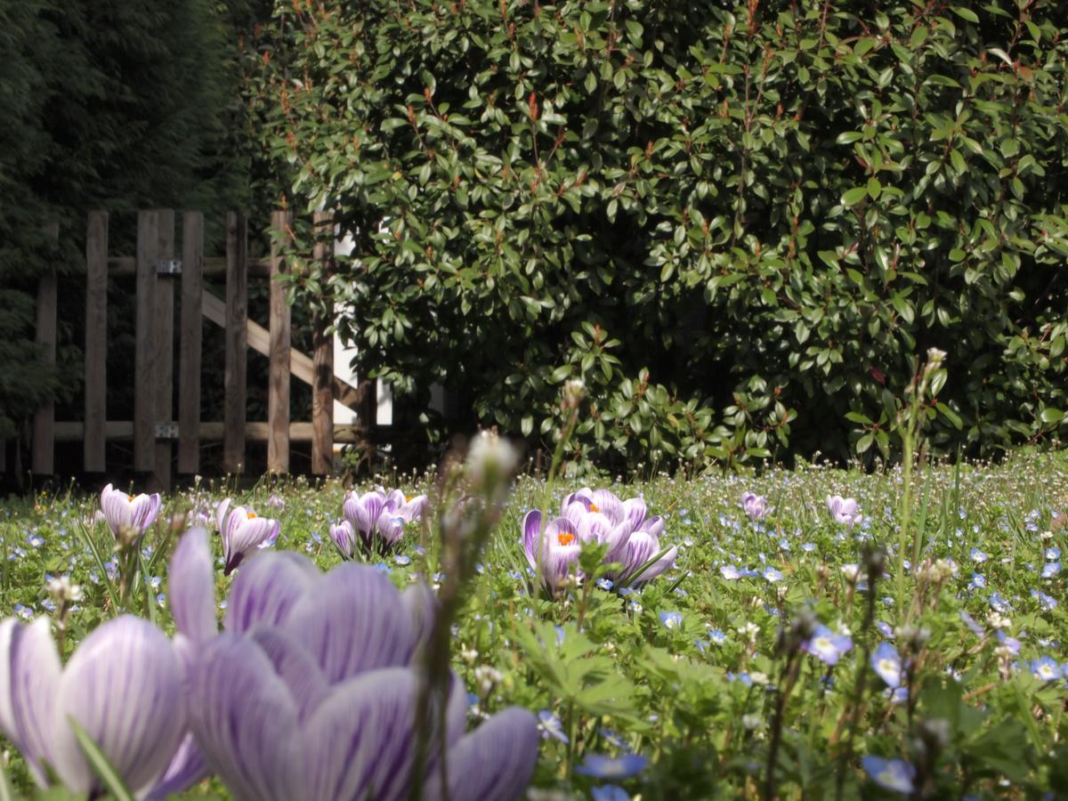 Agriturismo Il Magicorto Cassola Luaran gambar