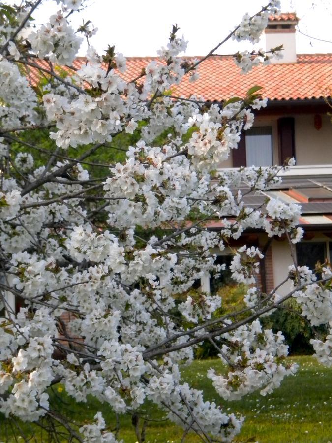 Agriturismo Il Magicorto Cassola Luaran gambar