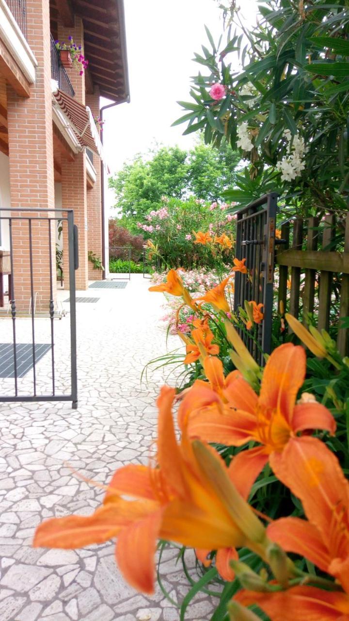 Agriturismo Il Magicorto Cassola Luaran gambar