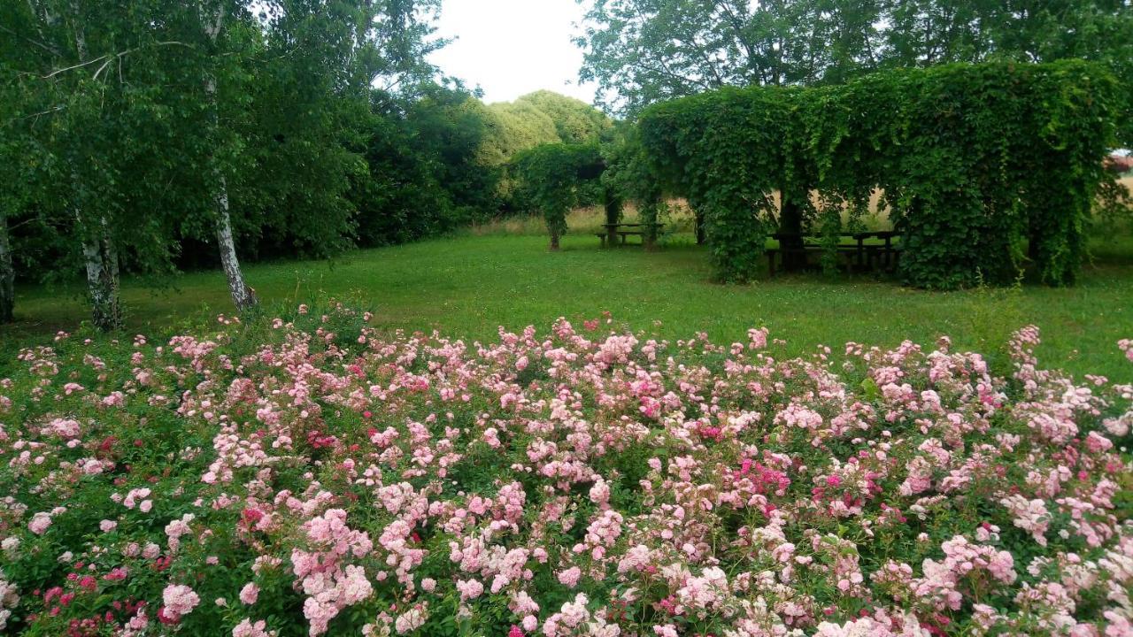 Agriturismo Il Magicorto Cassola Luaran gambar
