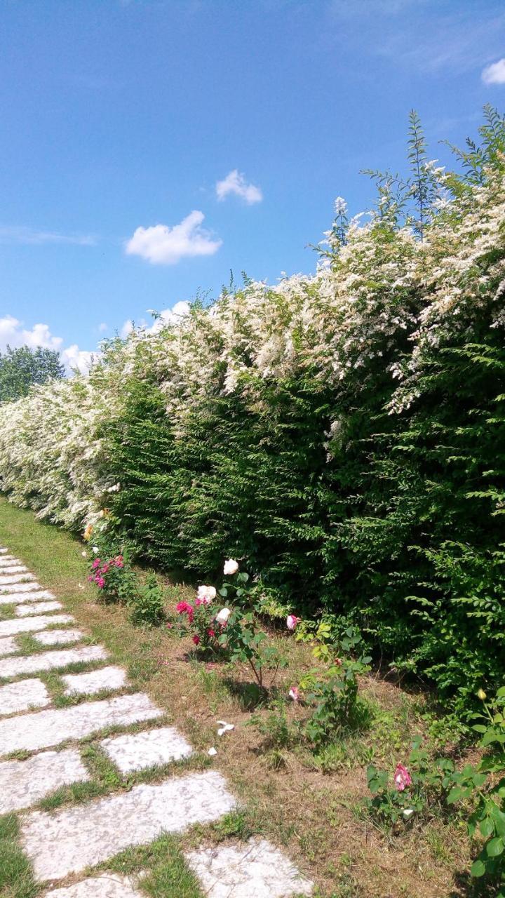 Agriturismo Il Magicorto Cassola Luaran gambar