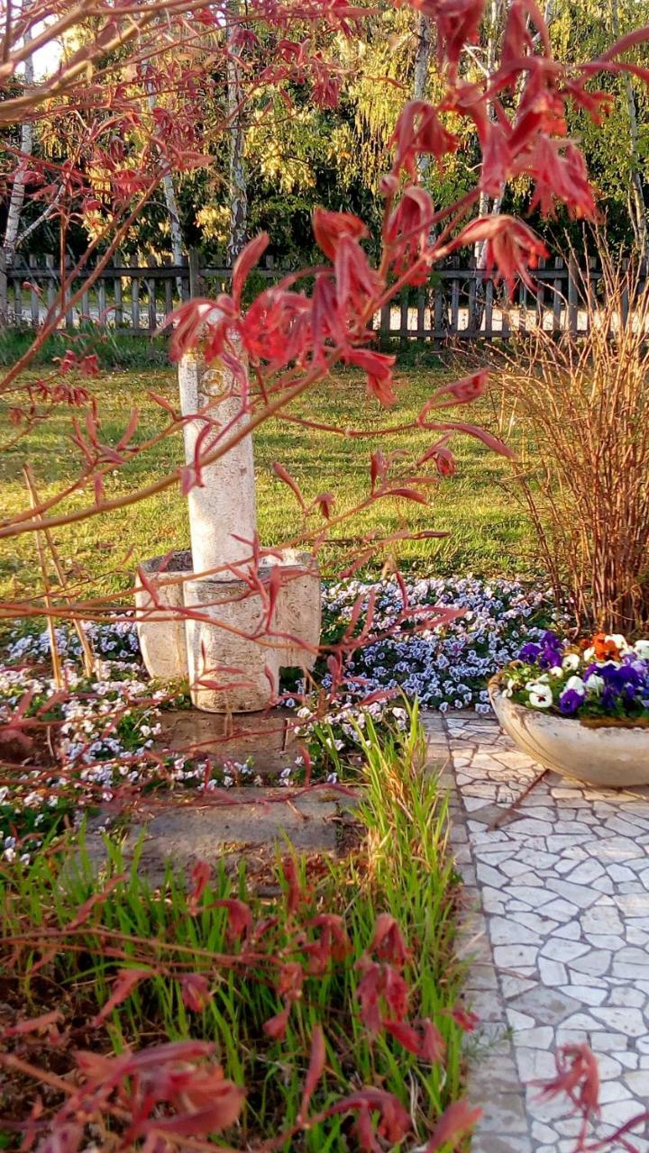 Agriturismo Il Magicorto Cassola Luaran gambar