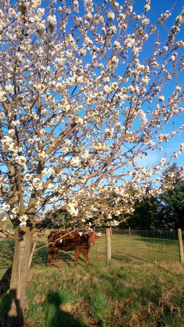 Agriturismo Il Magicorto Cassola Luaran gambar